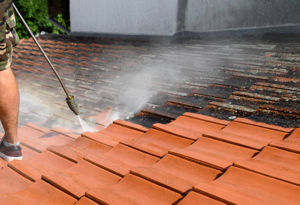 Best House Pressure Washing  in La Vale, MD