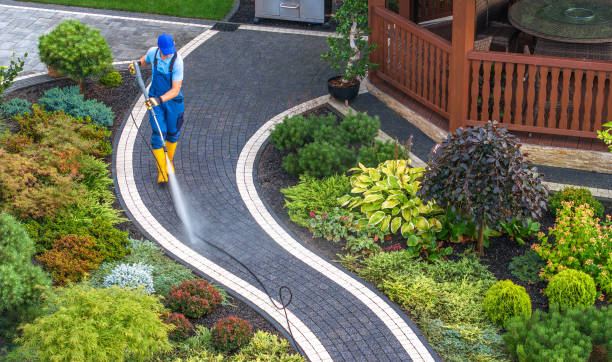 Best Local Pressure Washing Services  in La Vale, MD